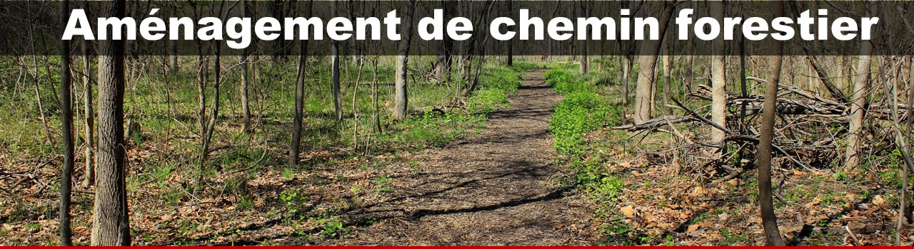 Aménagement de chemin forestier Aménagement de chemin forestier